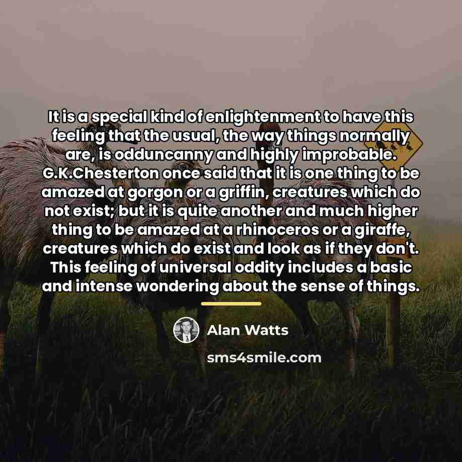 “It is a special kind of enlightenment to have this…” quote by Alan Watts