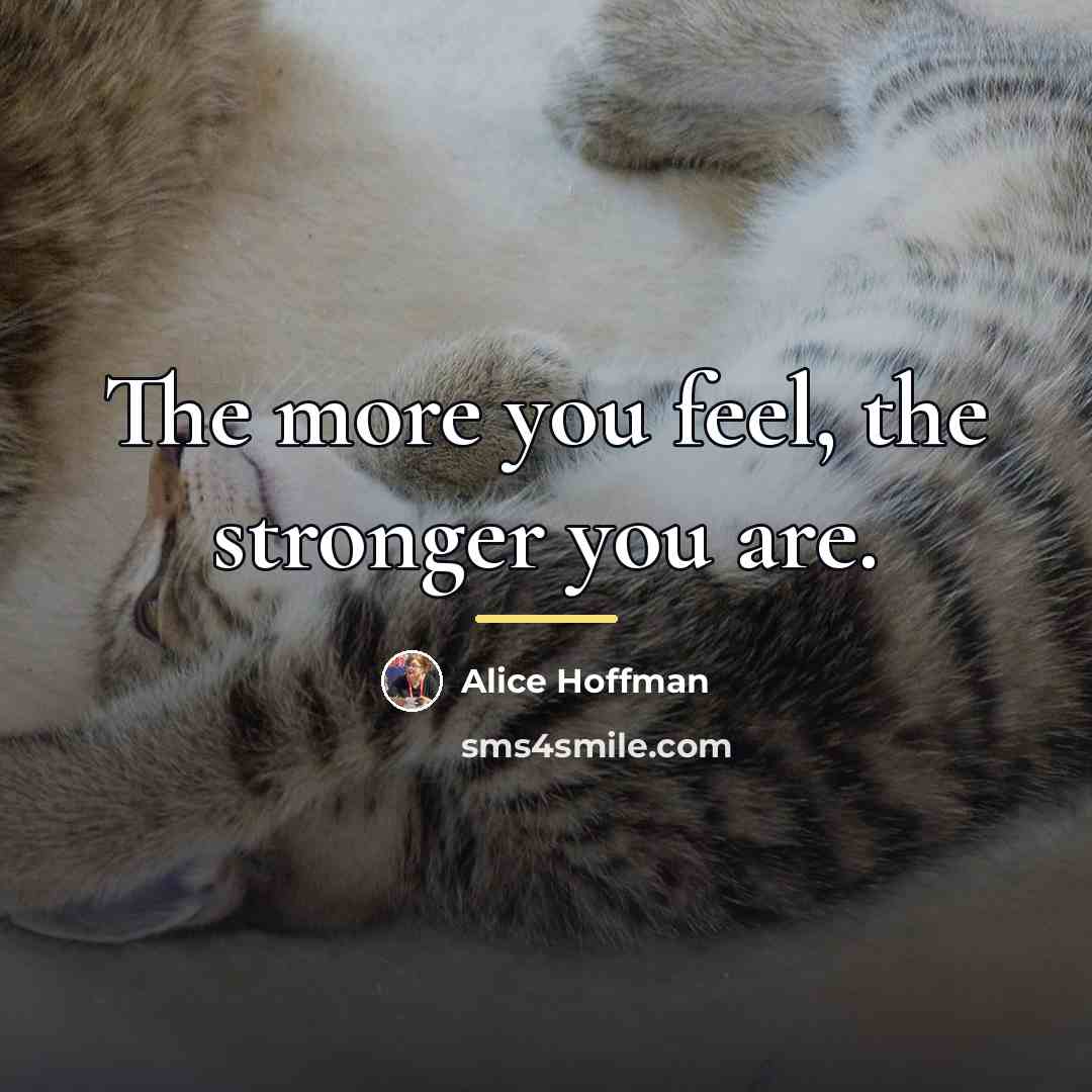 “The more you feel, the stronger you are.…” quote by Alice Hoffman