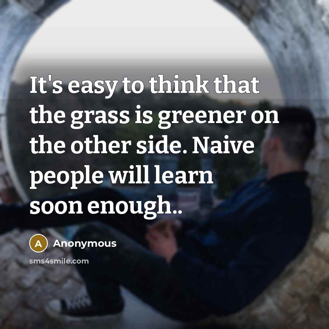 “It's easy to think that the grass is greener on the other side. Naive people will learn soon enough..” quote by Anonymous