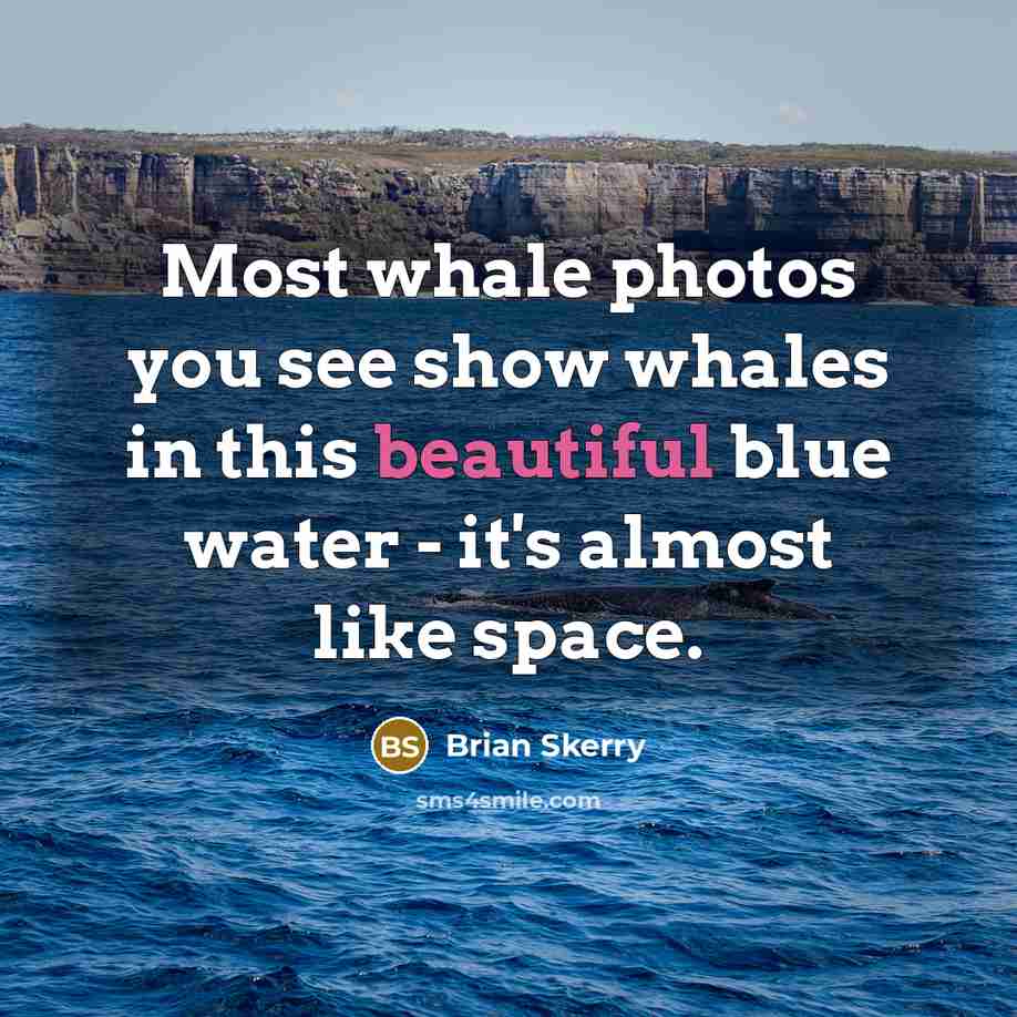 “Most whale photos you see show whales in this beautiful…” quote by Brian Skerry