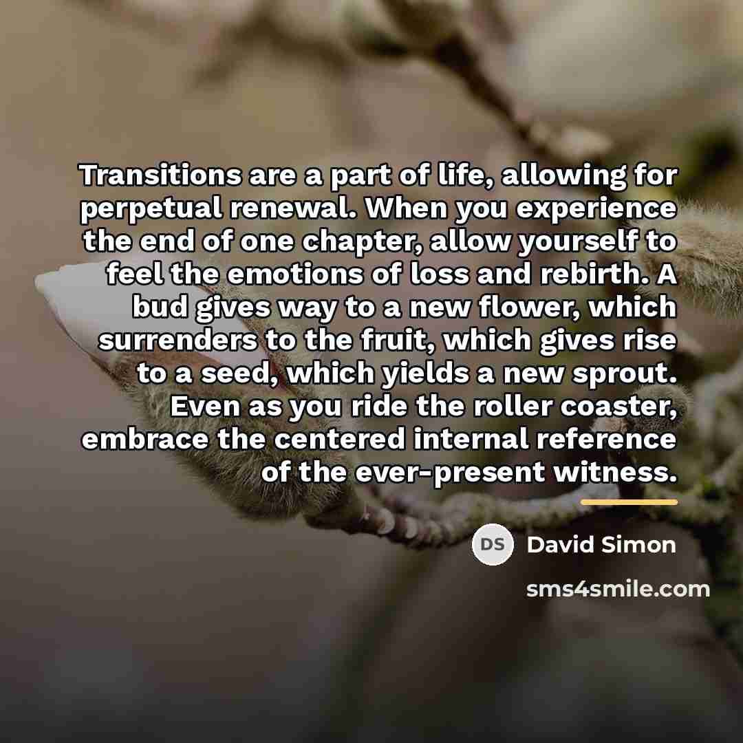 “Transitions are a part of life, allowing for perpetual renewal.…” quote by David Simon