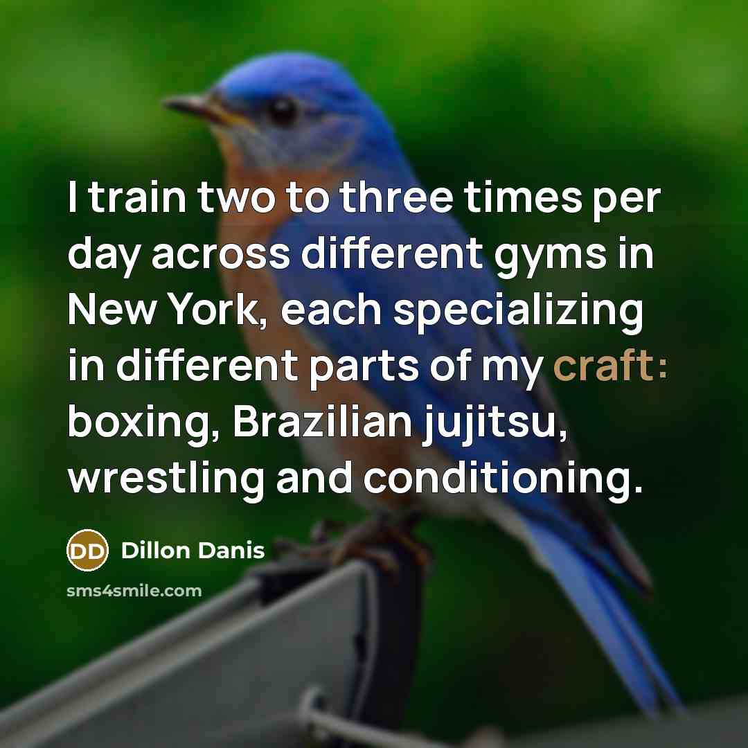 “I train two to three times per day across different gyms in New York, each specializing in different parts of my craft: boxing, Brazilian jujitsu, wrestling and conditioning.” quote by Dillon Danis