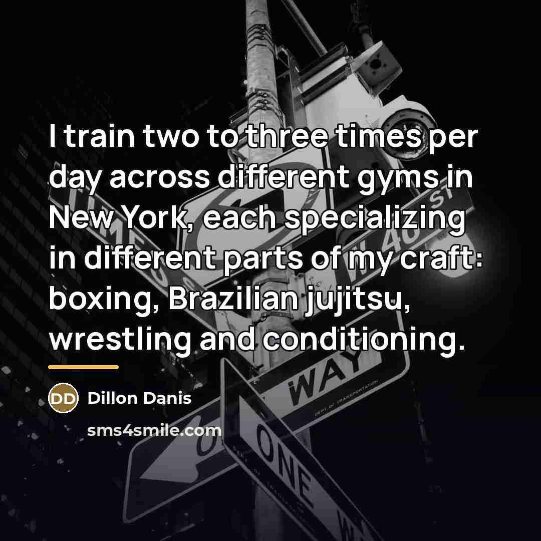 “I train two to three times per day across different…” quote by Dillon Danis
