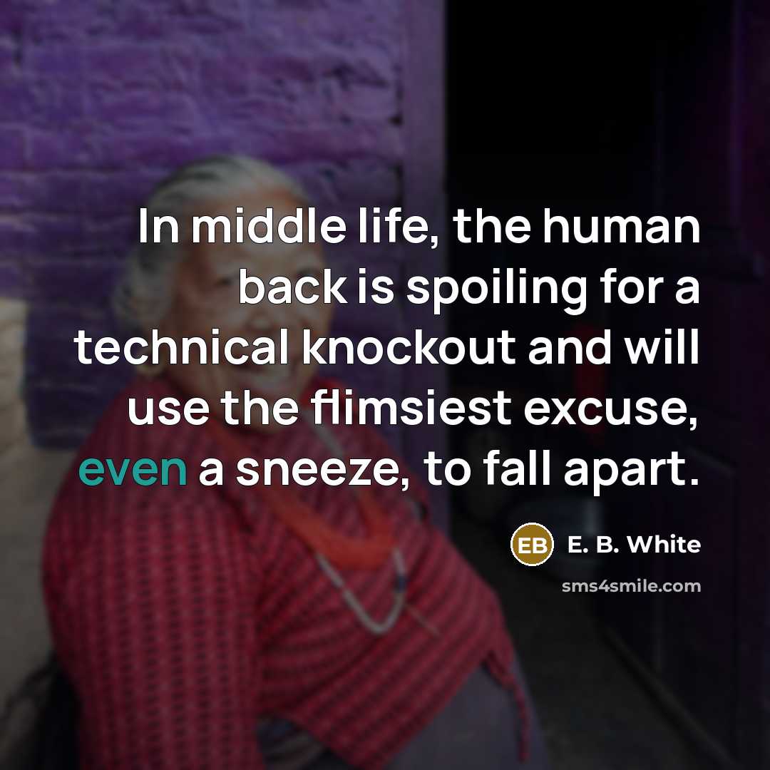“In middle life, the human back is spoiling for a…” quote by E. B. White