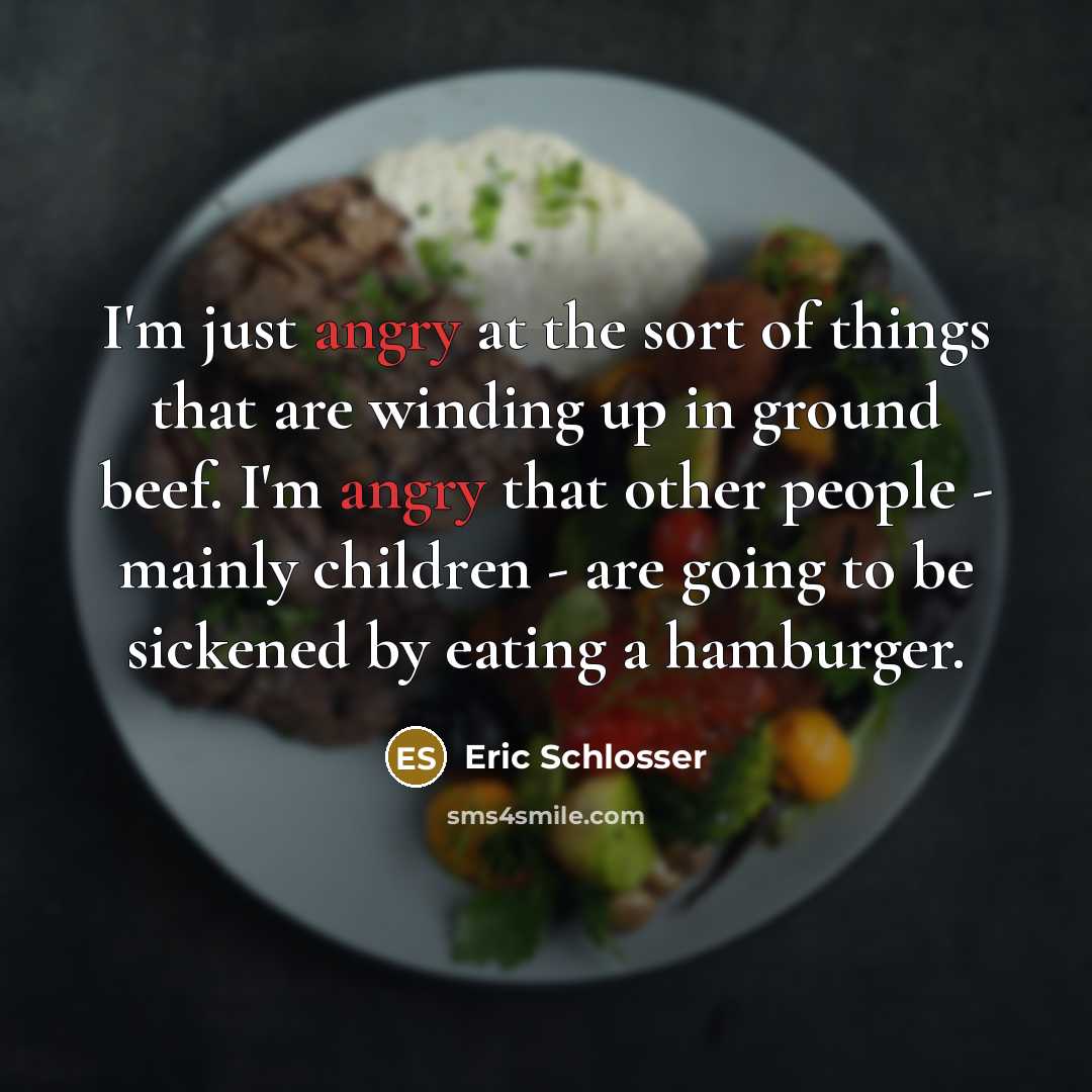 “I'm just angry at the sort of things that are…” quote by Eric Schlosser