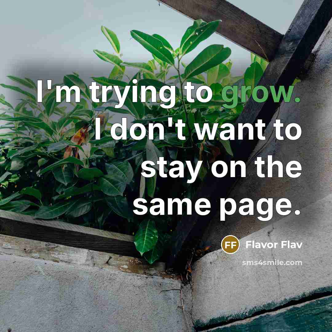 “I'm trying to grow. I don't want to stay on…” quote by Flavor Flav