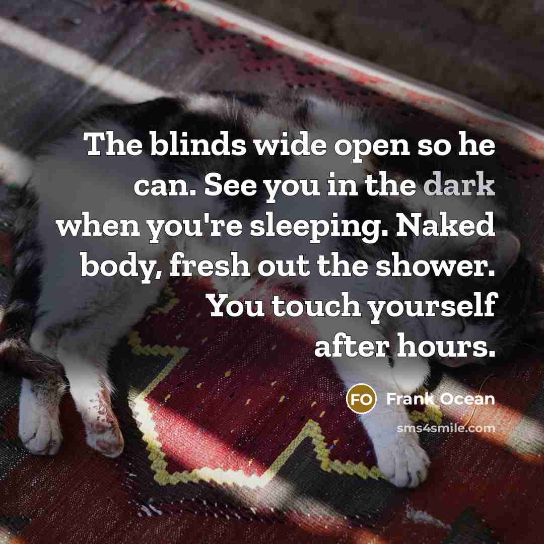 “The blinds wide open so he can. See you in…” quote by Frank Ocean