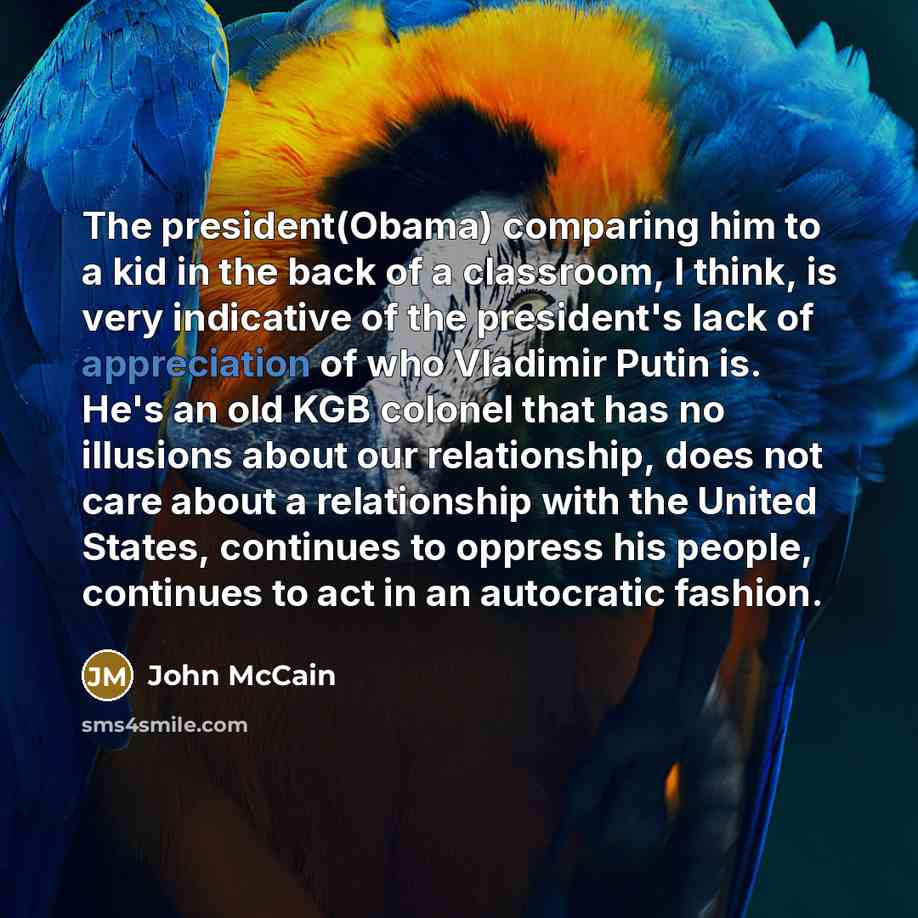 “The president(Obama) comparing him to a kid in the back…” quote by John McCain