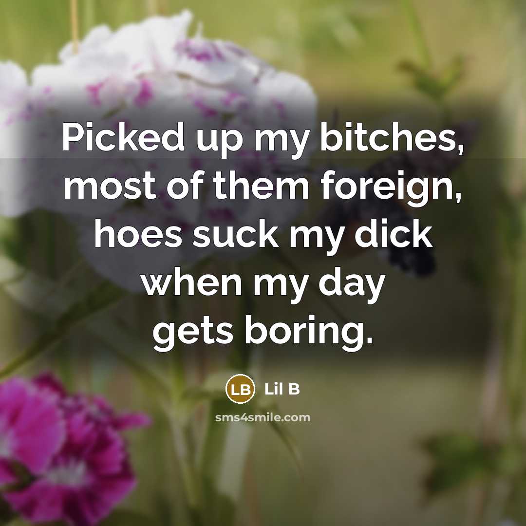“Picked up my bitches, most of them foreign, hoes suck…” quote by Lil B
