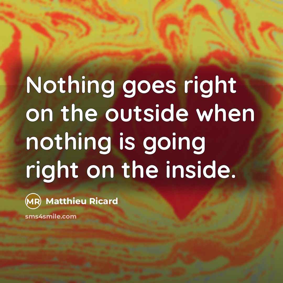 “Nothing goes right on the outside when nothing is going…” quote by Matthieu Ricard