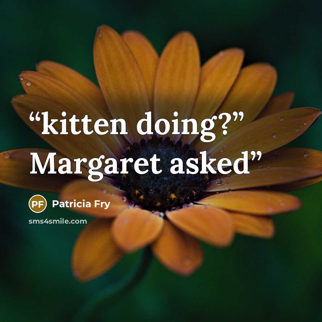 “kitten doing?” Margaret asked” quote by Patricia Fry