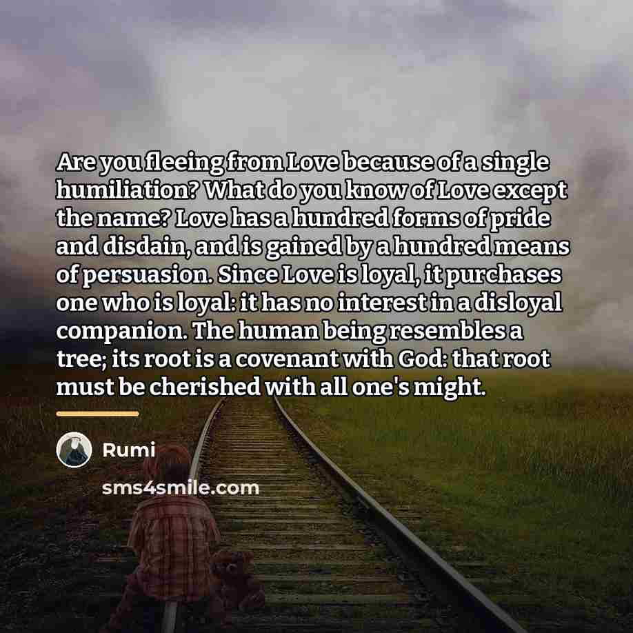 “Are you fleeing from Love because of a single humiliation?…” quote by Rumi
