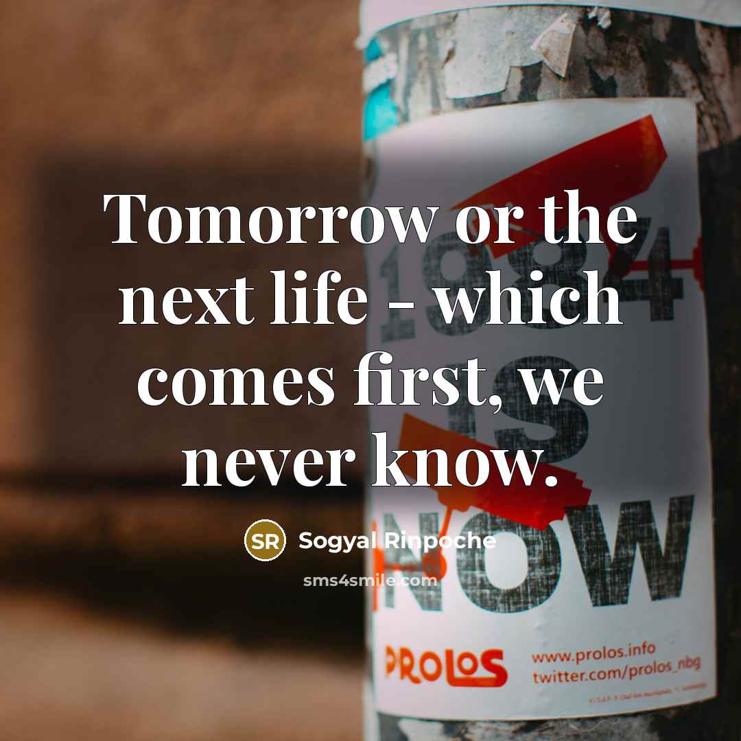 “Tomorrow or the next life - which comes first, we…” quote by Sogyal Rinpoche