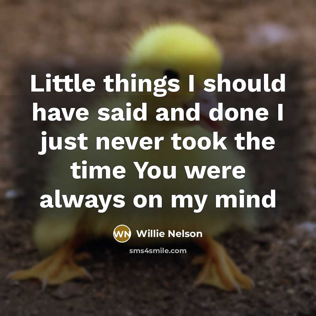 “Little things I should have said and done I just…” quote by Willie Nelson