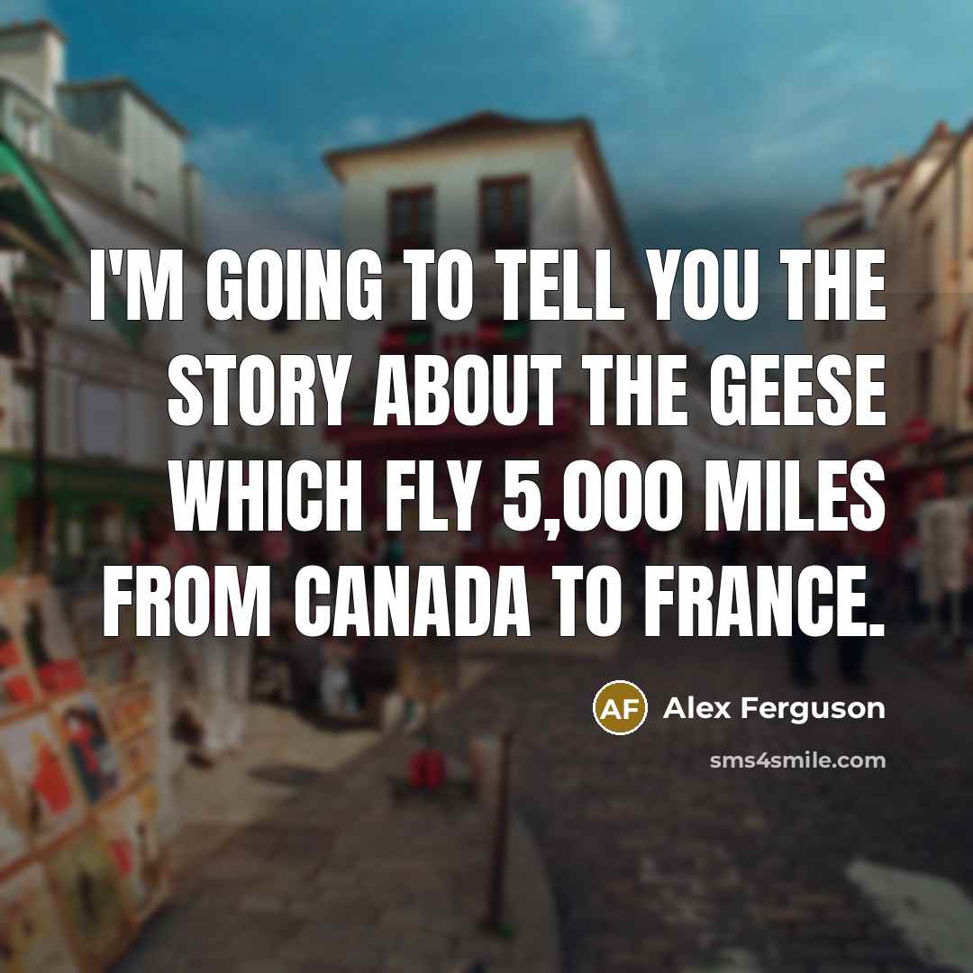 “I'm going to tell you the story about the geese…” quote by Alex Ferguson