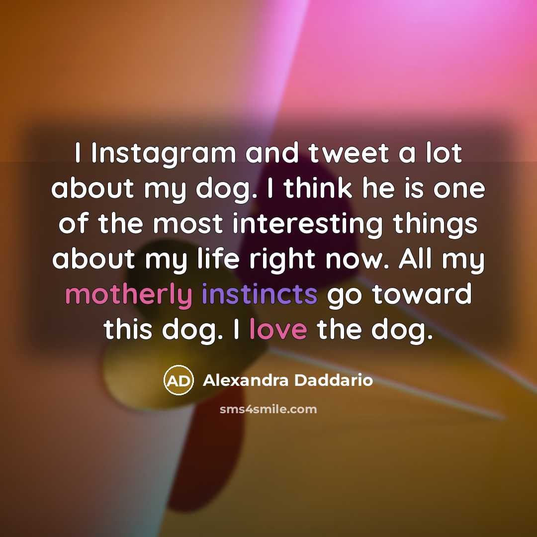 “I Instagram and tweet a lot about my dog. I think he is one of the most interesting things about my life right now. All my motherly instincts go toward this dog. I love the dog.” quote by Alexandra Daddario