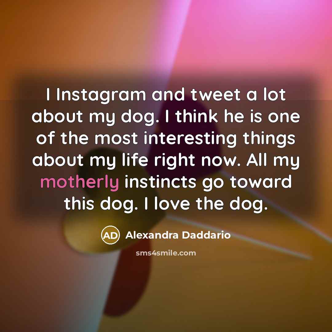 “I Instagram and tweet a lot about my dog. I…” quote by Alexandra Daddario