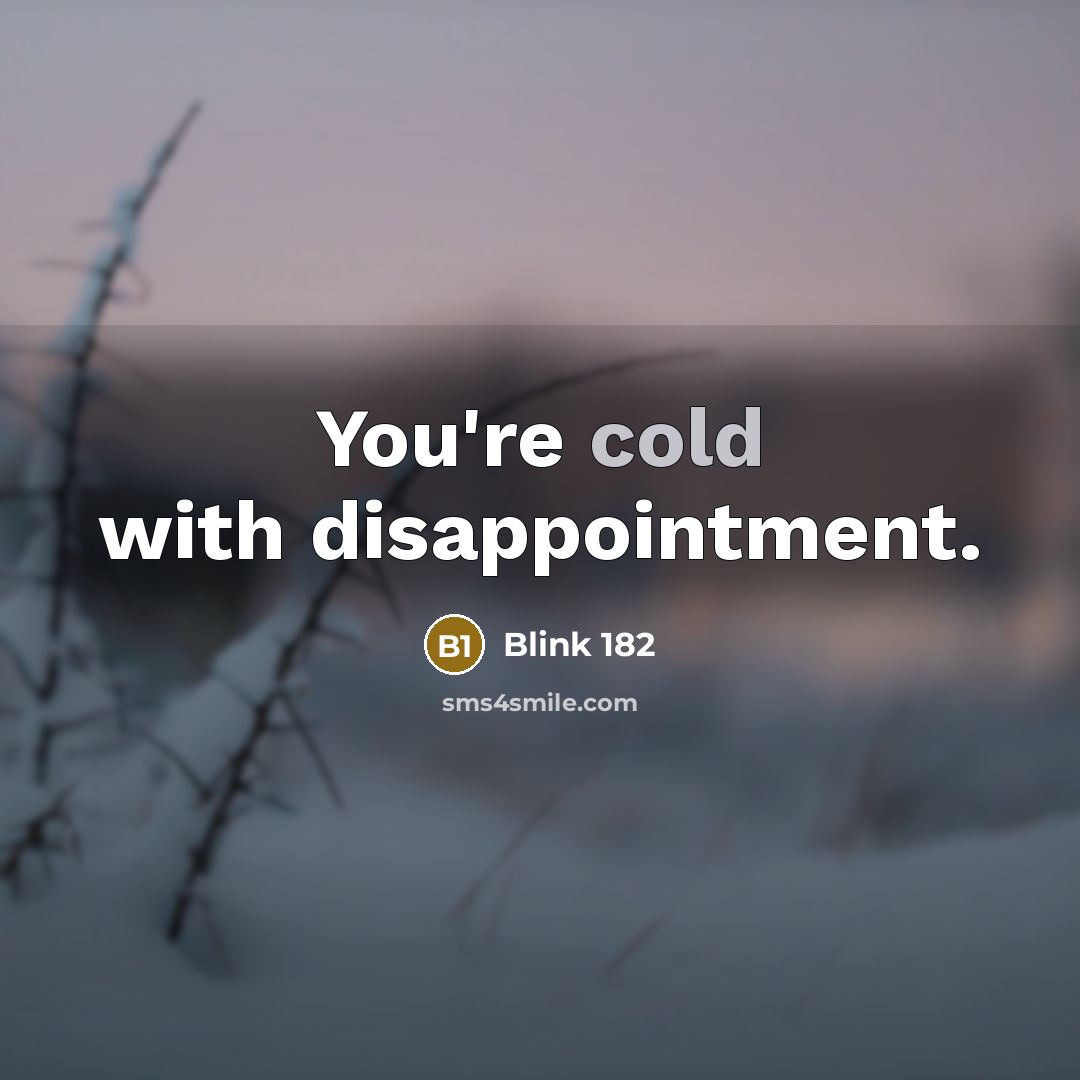 “You're cold with disappointment.” quote by Blink 182