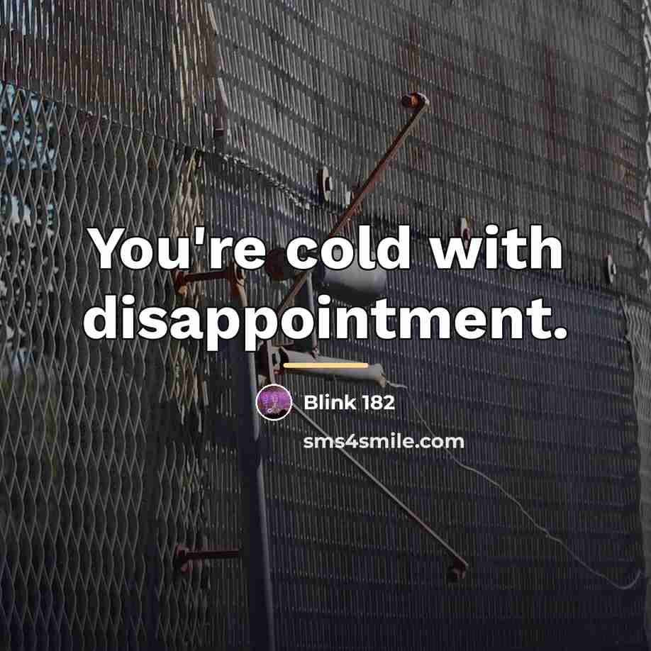 “You're cold with disappointment.…” quote by Blink 182
