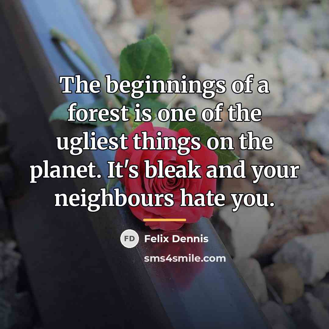 “The beginnings of a forest is one of the ugliest…” quote by Felix Dennis