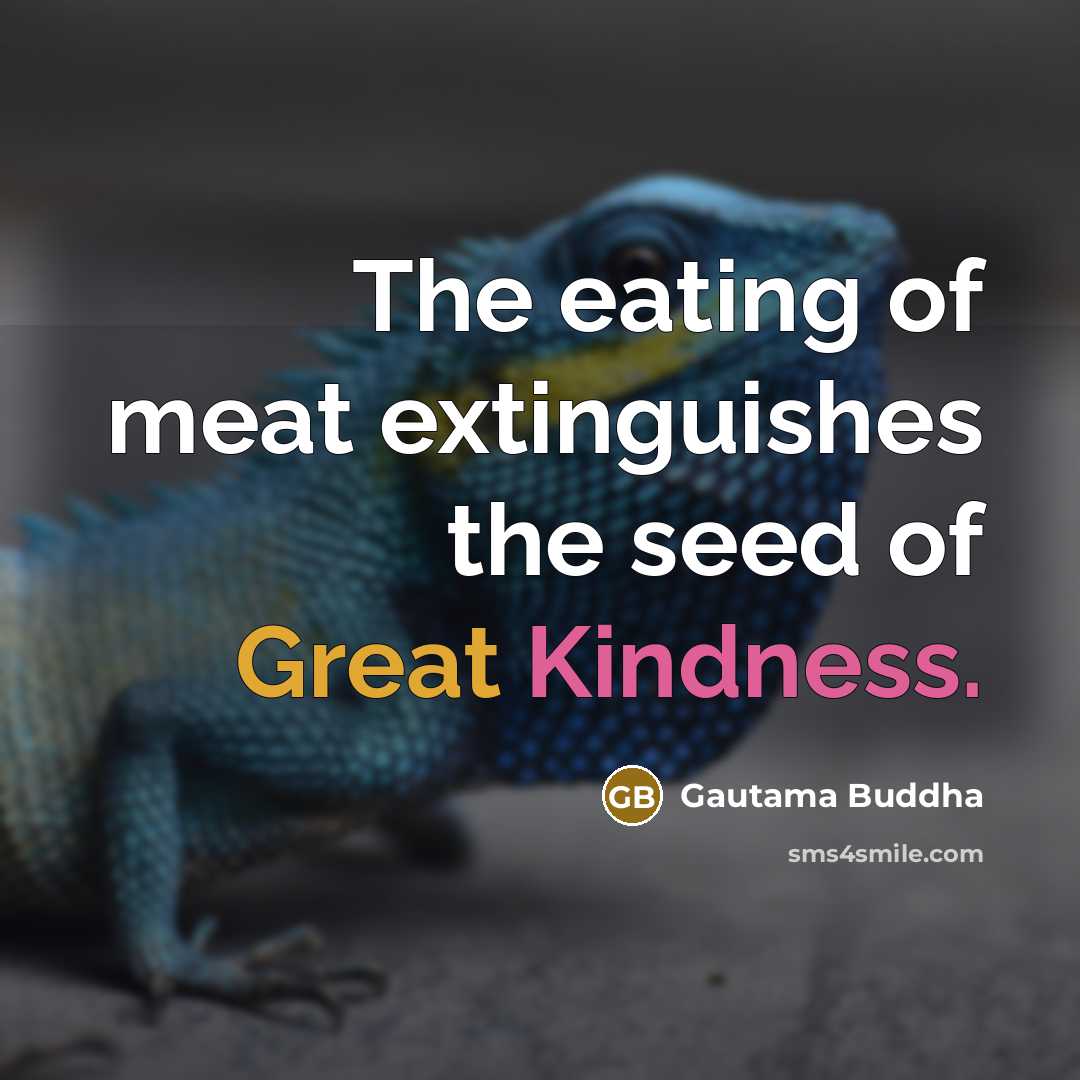 “The eating of meat extinguishes the seed of Great Kindness.…” quote by Gautama Buddha