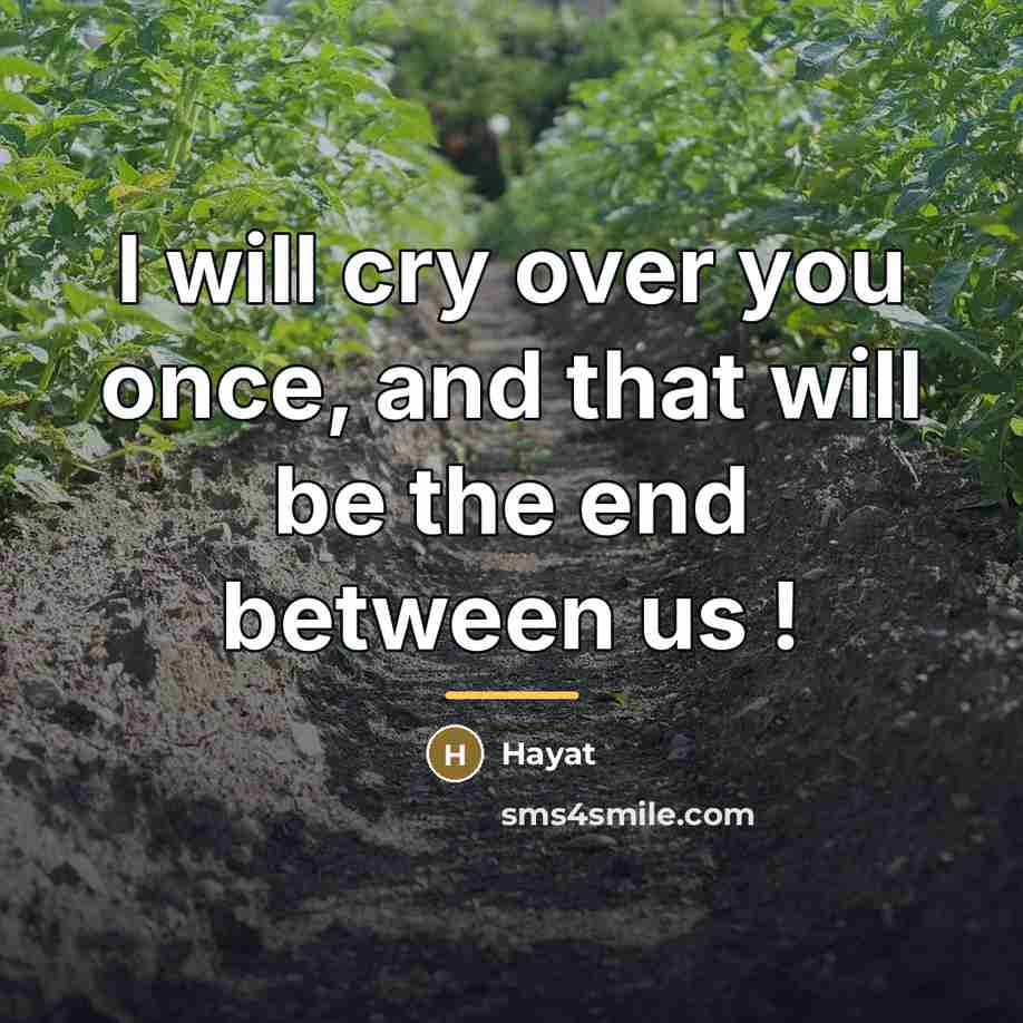 “I will cry over you once, and that will be…” quote by Hayat