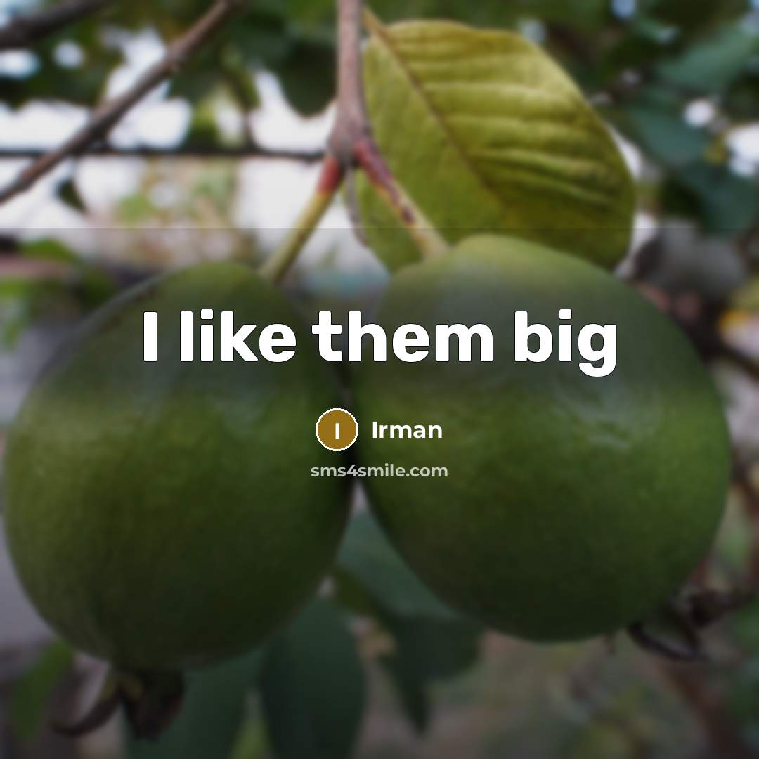 “I like them big” quote by Irman