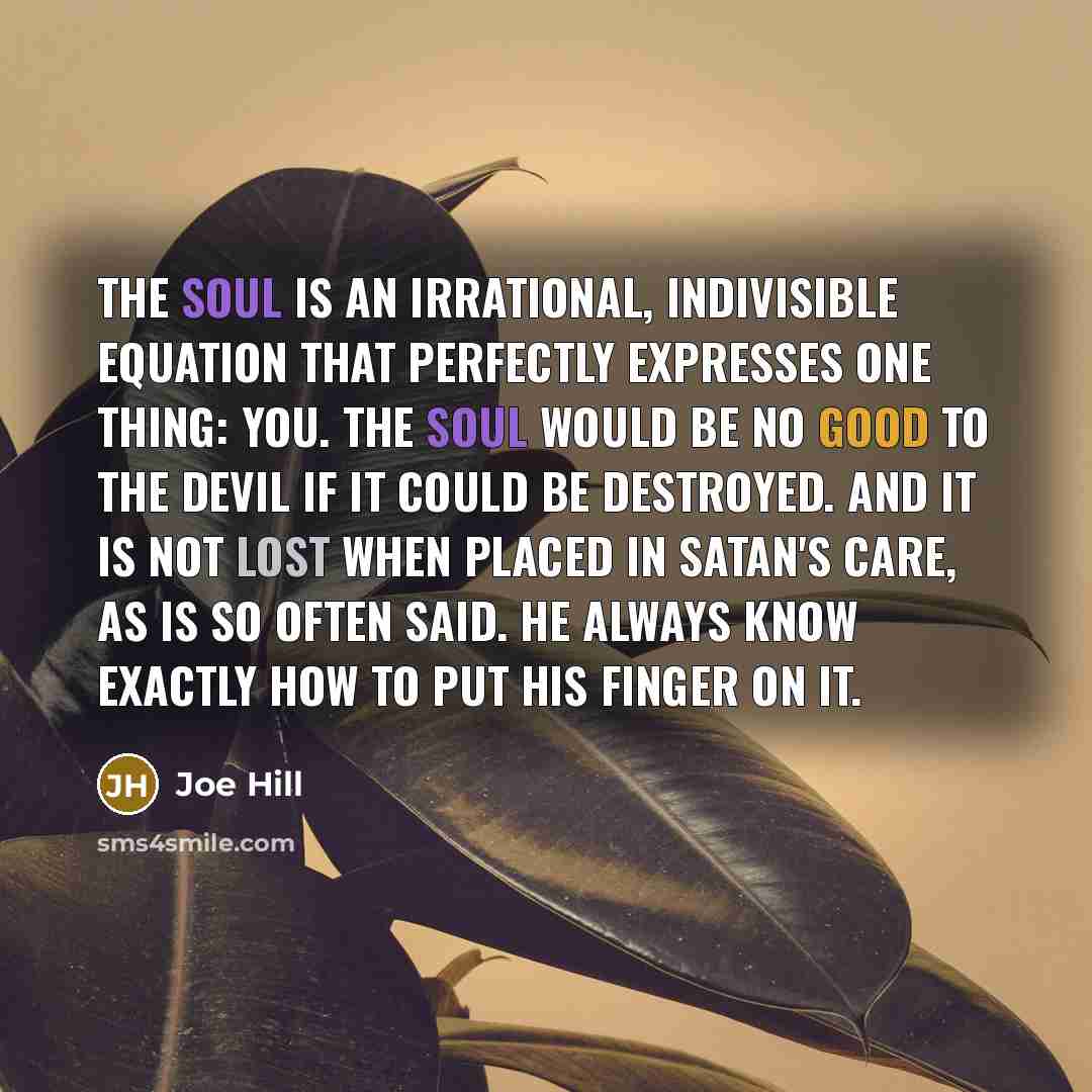 “The soul is an irrational, indivisible equation that perfectly expresses…” quote by Joe Hill