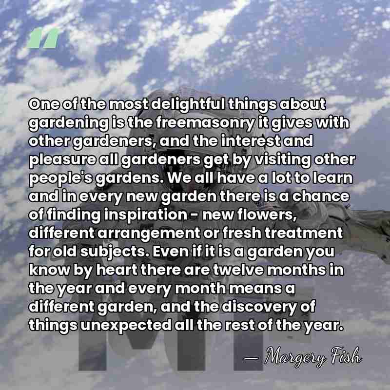 One of the most delightful things about gardening is the freemasonry it&hellip; - Margery Fish