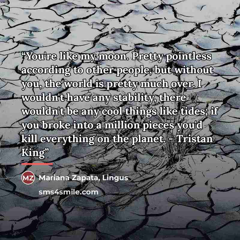 “You're like my moon. Pretty pointless according to other people, but without you, the world is pretty much over. I wouldn't have any stability, there wouldn't be any cool things like tides; if you broke into a million pieces you'd kill everything on the planet. - Tristan King” quote by Mariana Zapata, Lingus