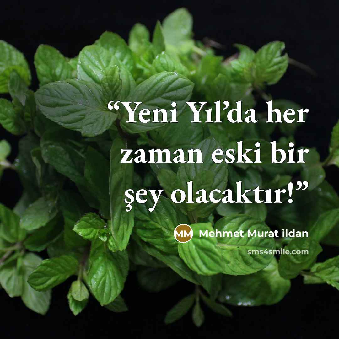 “Yeni Yıl’da her zaman eski bir şey olacaktır!” quote by Mehmet Murat ildan