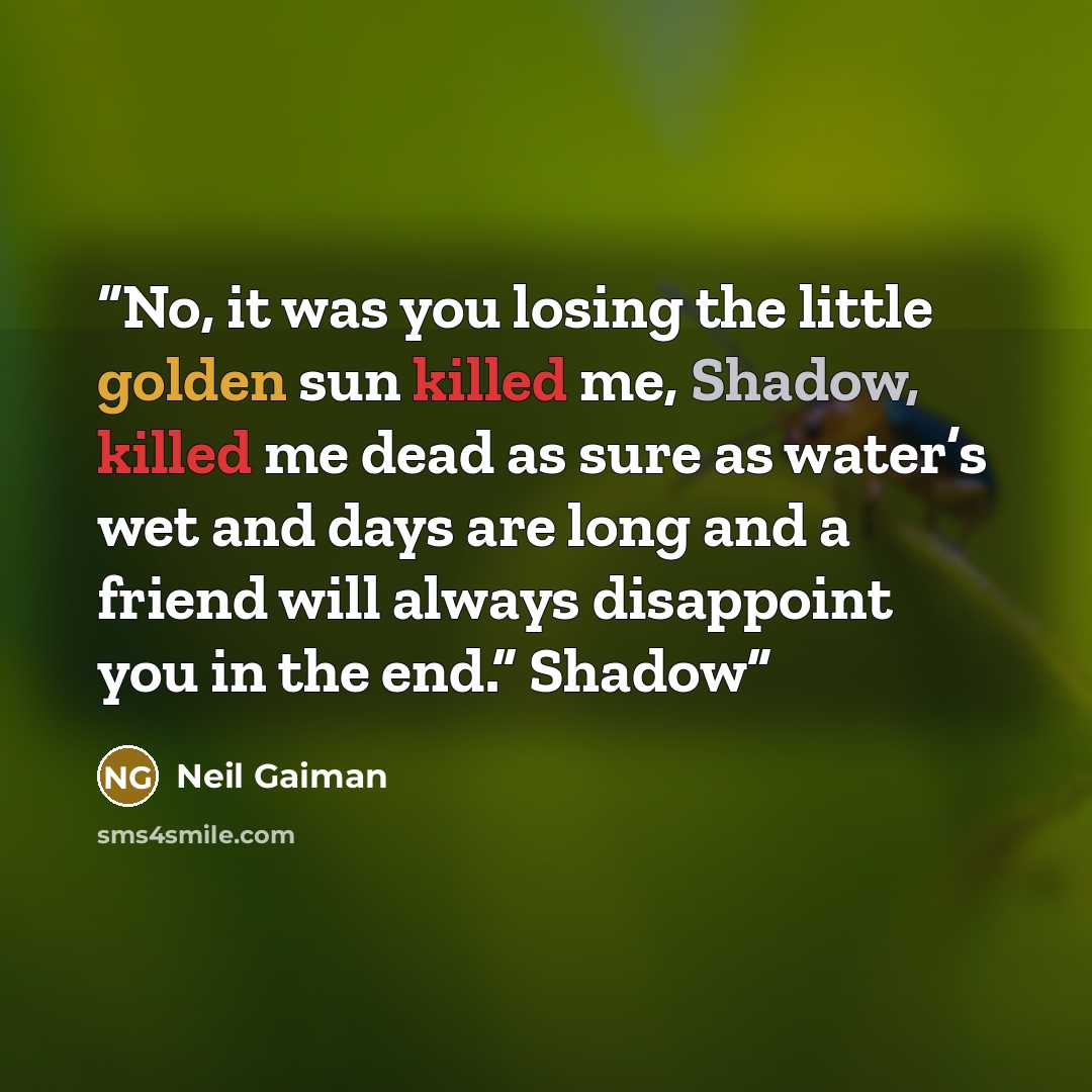 “No, it was you losing the little golden sun killed me, Shadow, killed me dead as sure as water’s wet and days are long and a friend will always disappoint you in the end.” Shadow” quote by Neil Gaiman
