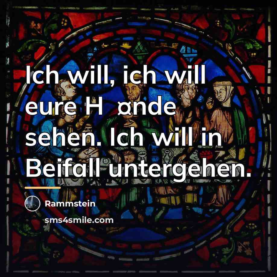 “Ich will, ich will eure H�¤nde sehen. Ich will in…” quote by Rammstein