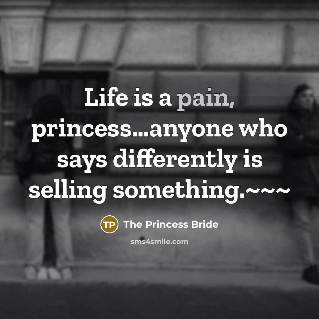 “Life is a pain, princess.....anyone who says differently is selling…” quote by The Princess Bride