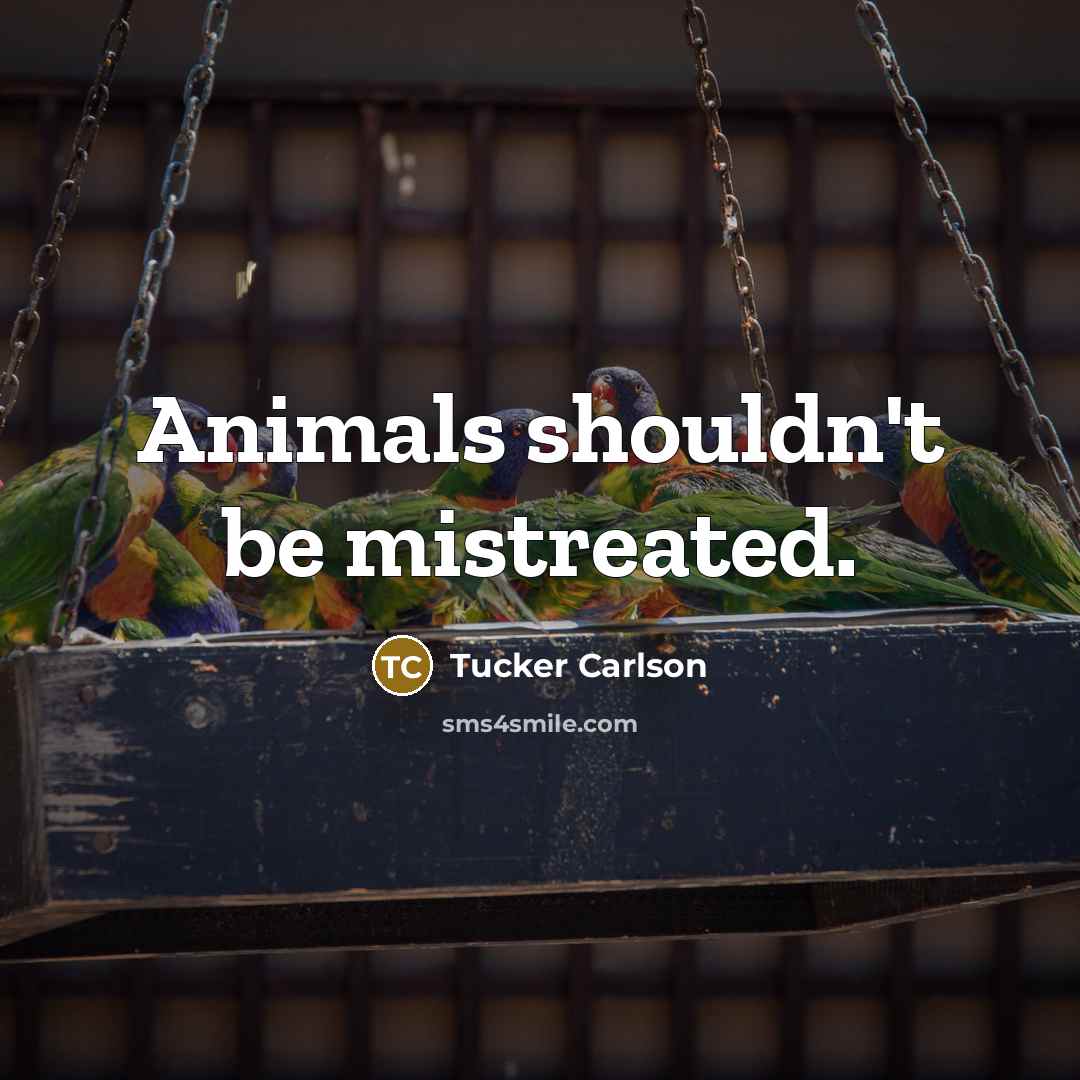 “Animals shouldn't be mistreated.…” quote by Tucker Carlson