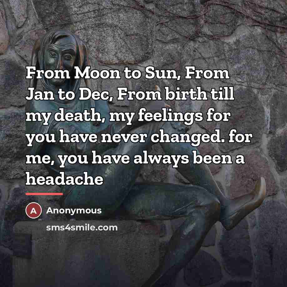 “From Moon to Sun, From Jan to Dec, From birth till my death, my feelings for you have never changed. for me, you have always been a headache” quote by Anonymous