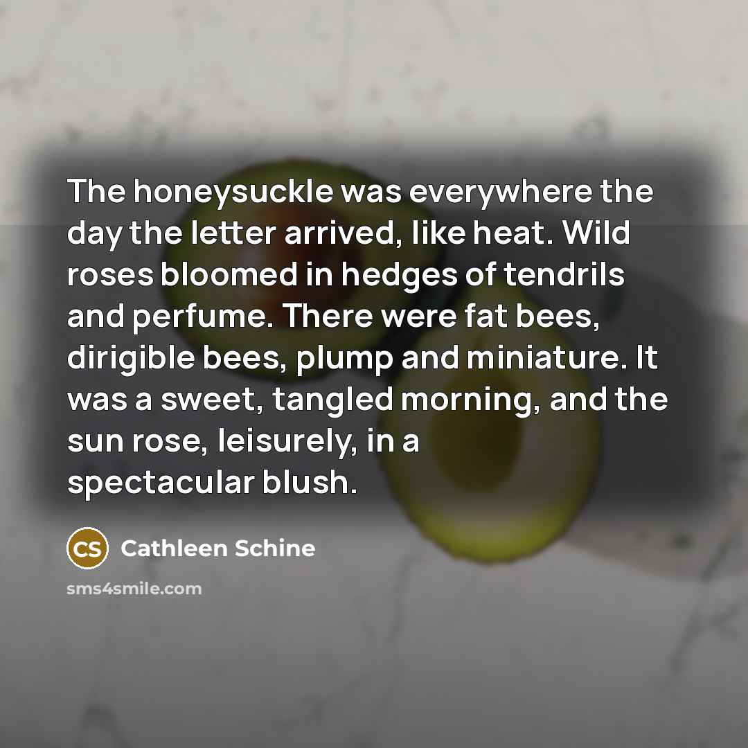 “The honeysuckle was everywhere the day the letter arrived, like…” quote by Cathleen Schine