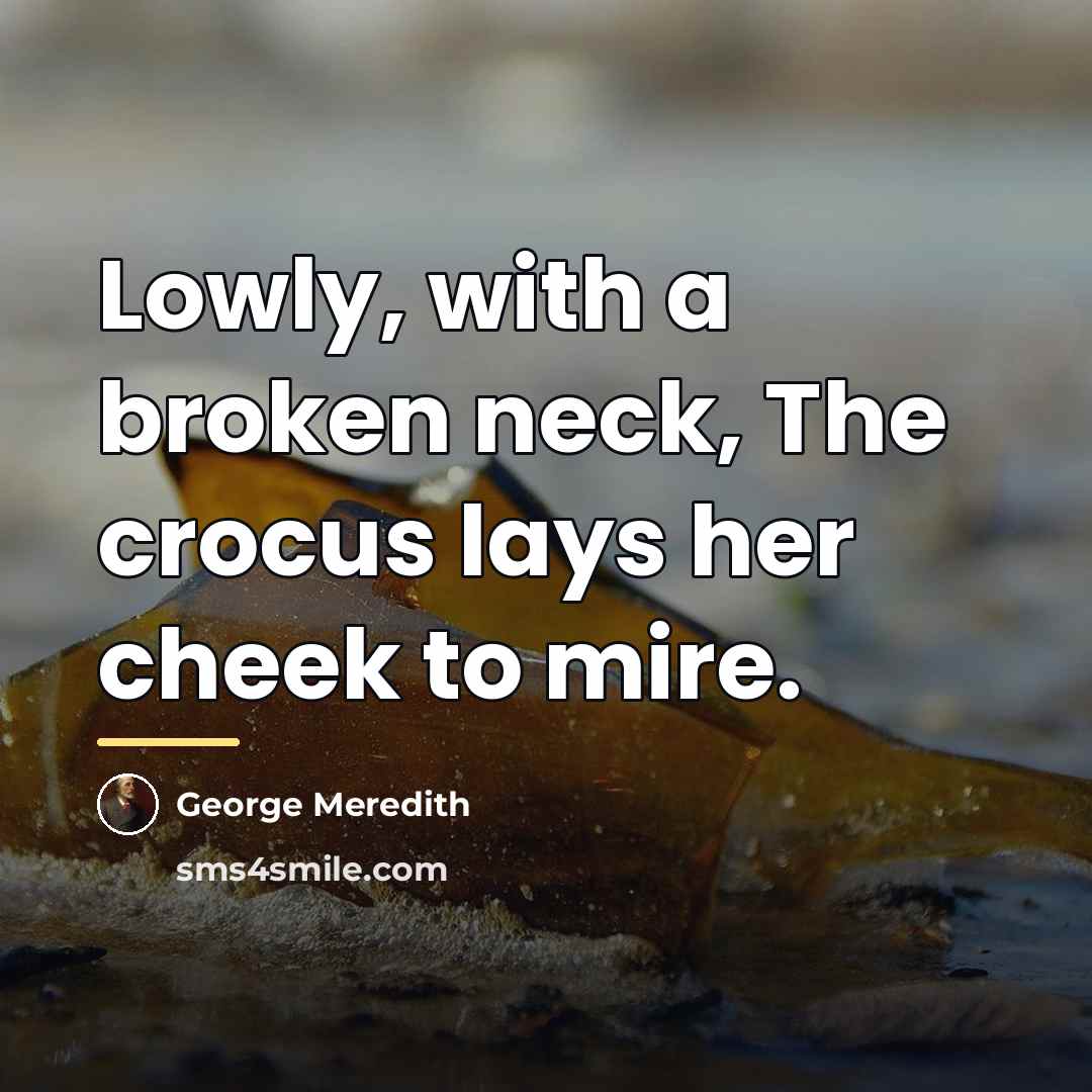 “Lowly, with a broken neck, The crocus lays her cheek…” quote by George Meredith