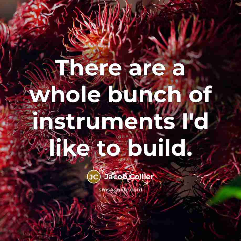 “There are a whole bunch of instruments I'd like to…” quote by Jacob Collier