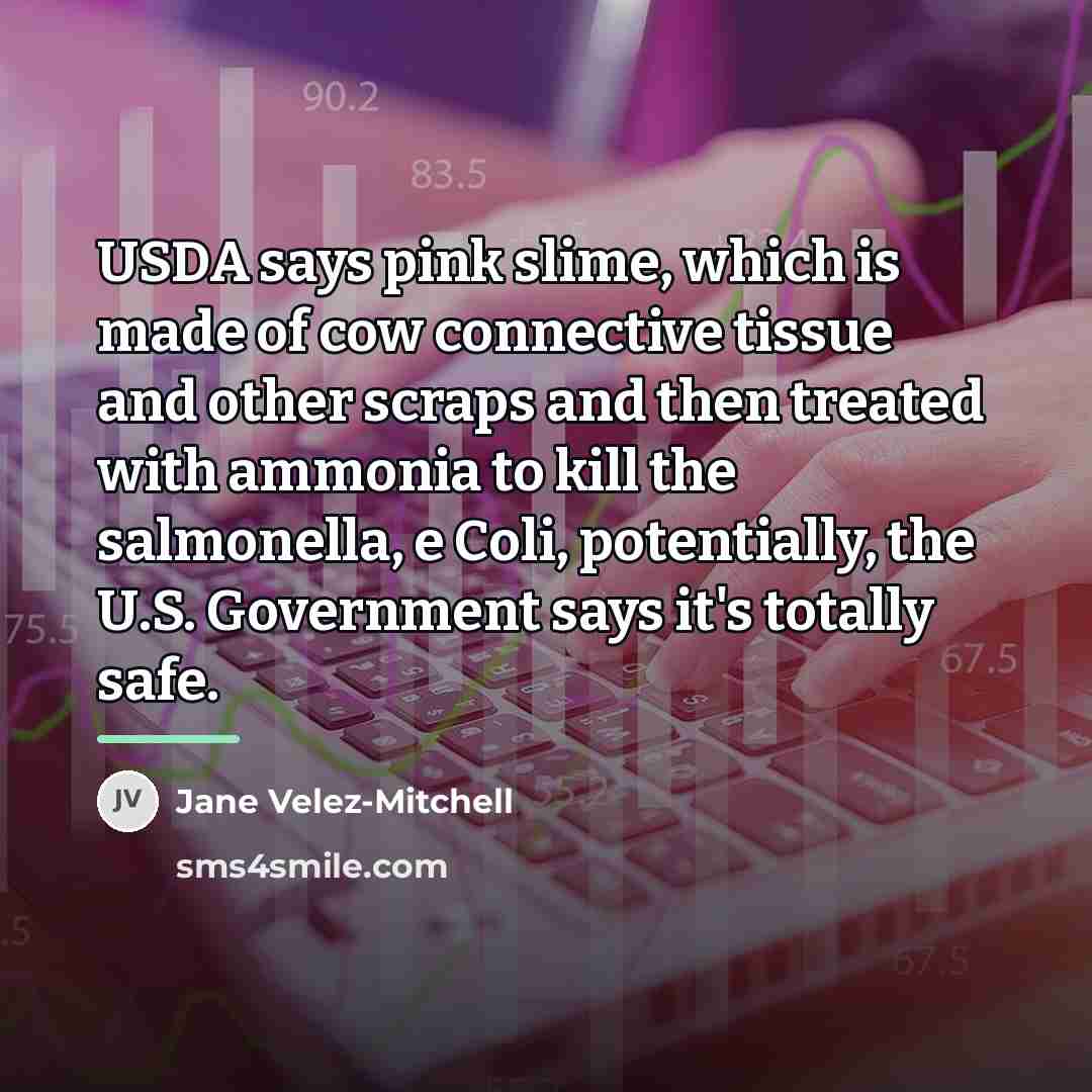 “USDA says pink slime, which is made of cow connective…” quote by Jane Velez-Mitchell
