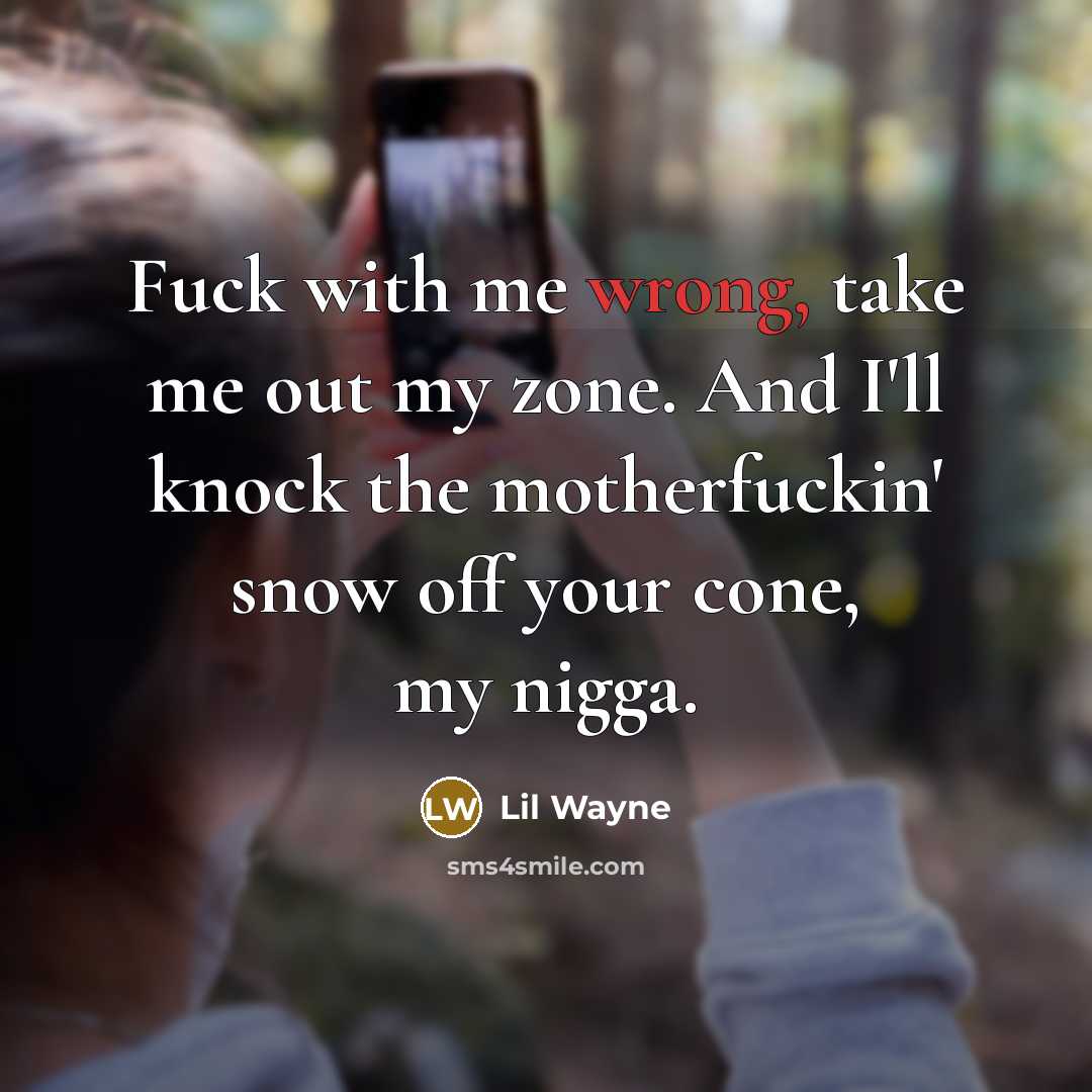 “Fuck with me wrong, take me out my zone. And…” quote by Lil Wayne