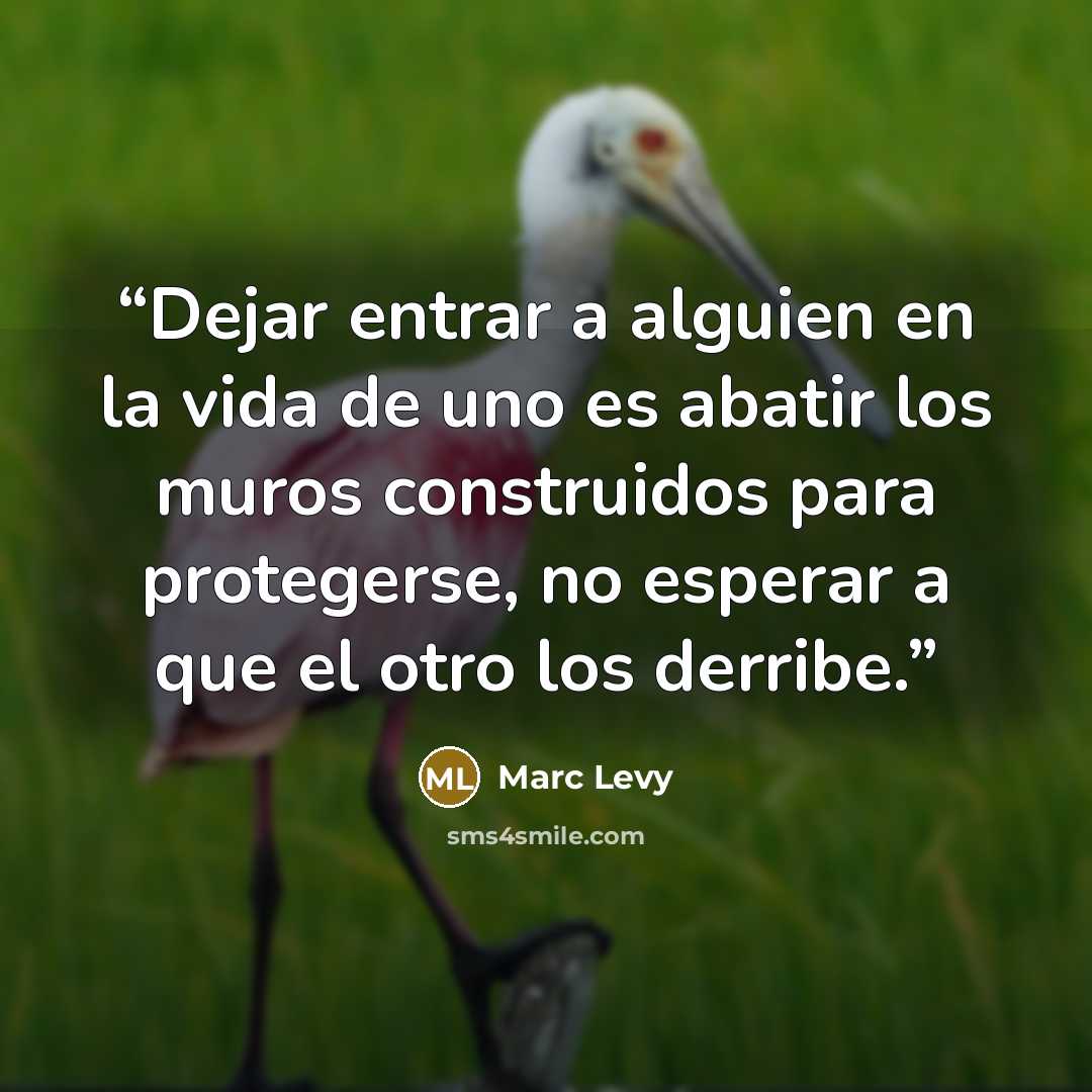 “Dejar entrar a alguien en la vida de uno es abatir los muros construidos para protegerse, no esperar a que el otro los derribe.” quote by Marc Levy