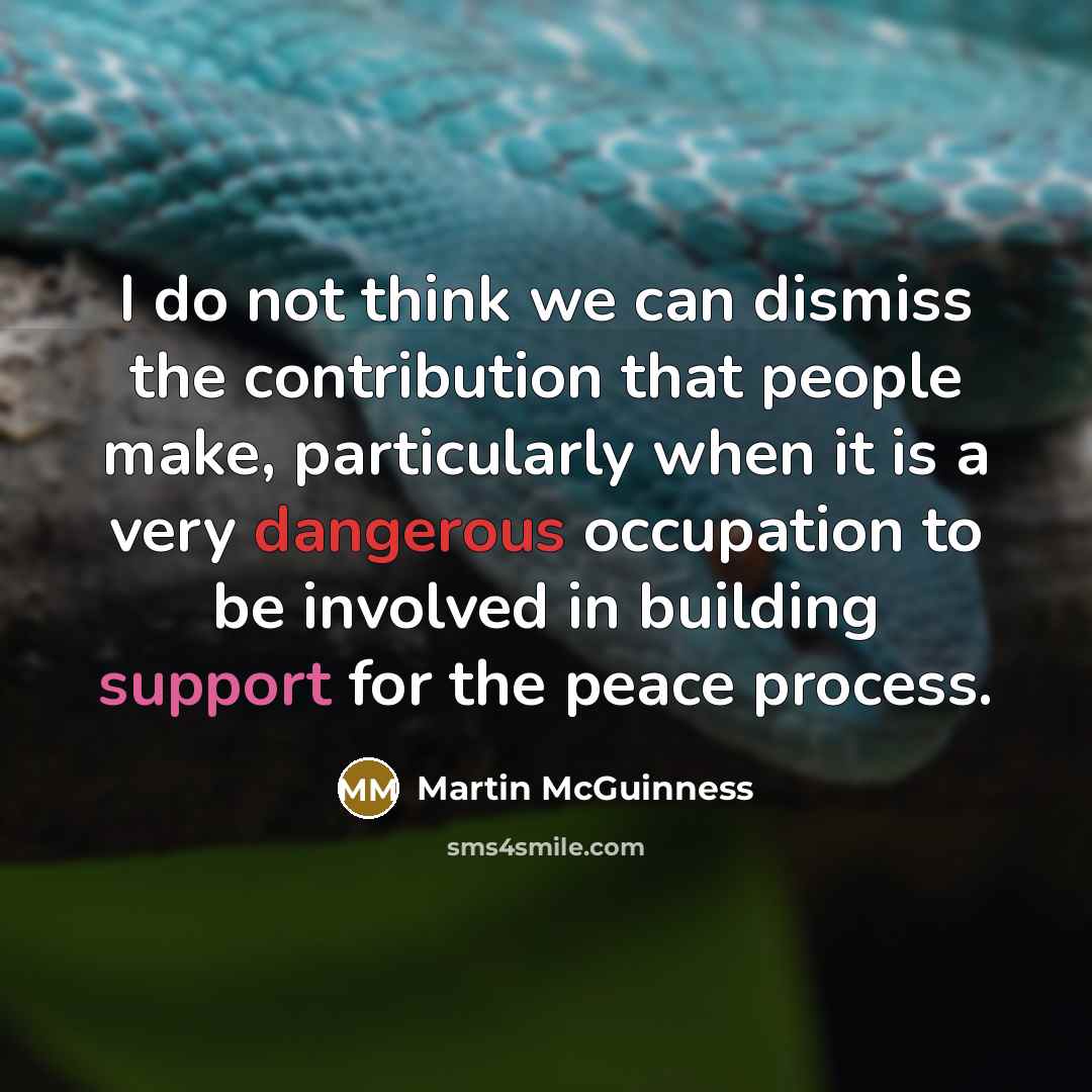 “I do not think we can dismiss the contribution that people make, particularly when it is a very dangerous occupation to be involved in building support for the peace process.” quote by Martin McGuinness