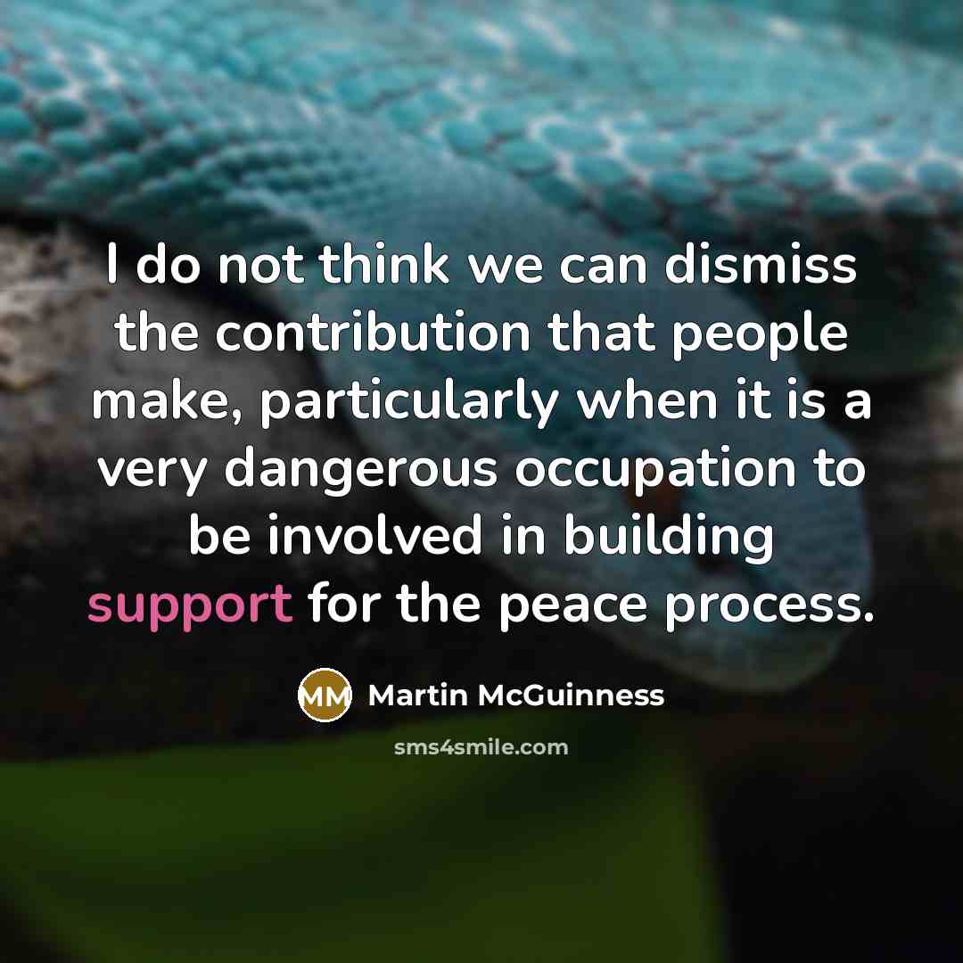 “I do not think we can dismiss the contribution that…” quote by Martin McGuinness