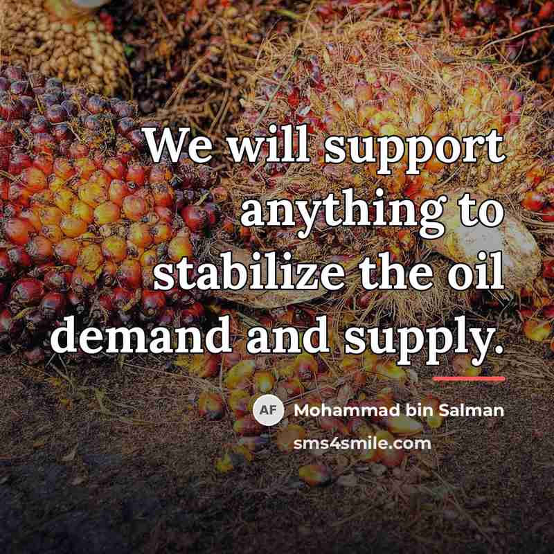 “We will support anything to stabilize the oil demand and…” quote by Mohammad bin Salman