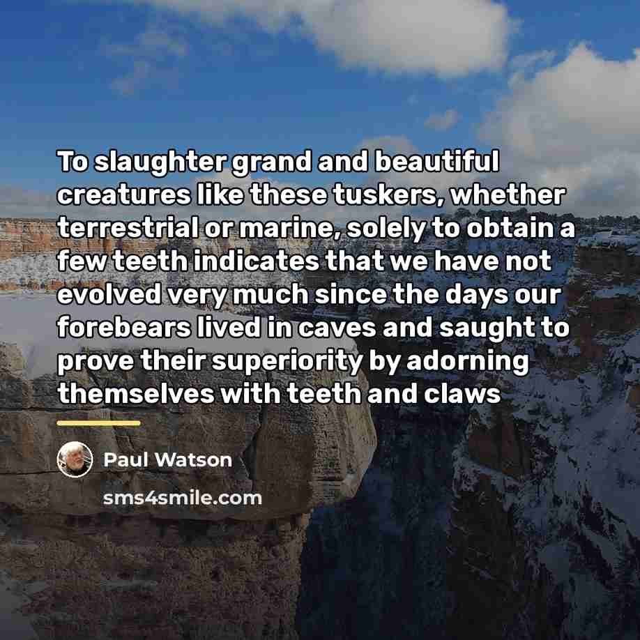 “To slaughter grand and beautiful creatures like these tuskers, whether…” quote by Paul Watson