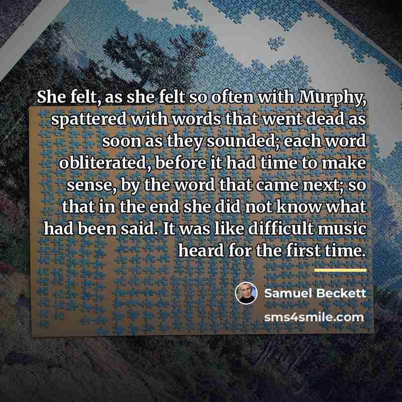 “She felt, as she felt so often with Murphy, spattered…” quote by Samuel Beckett