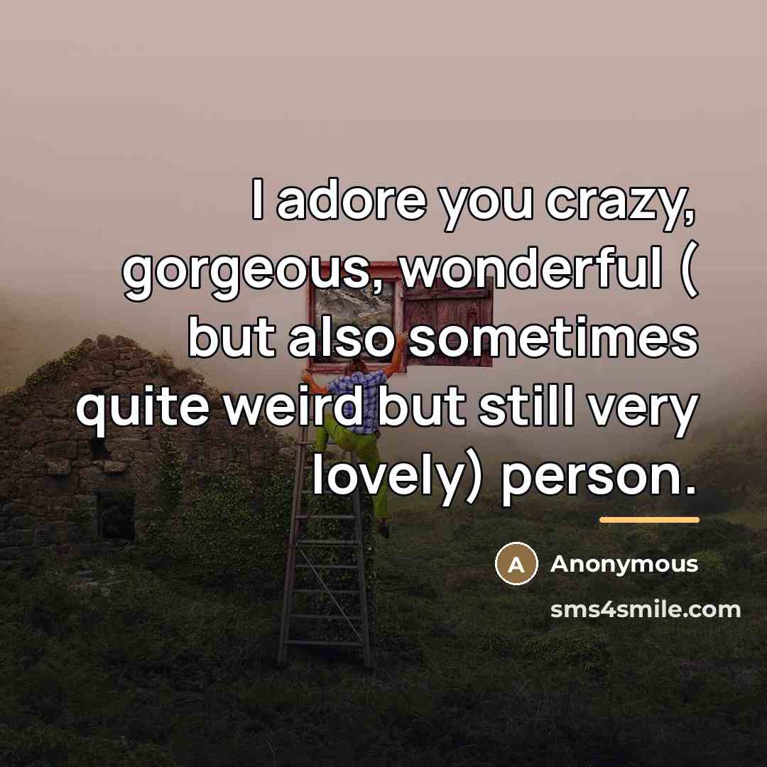 “I adore you crazy, gorgeous, wonderful ( but also sometimes…” quote by Anonymous