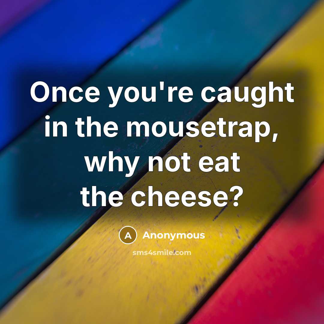 “Once you're caught in the mousetrap, why not eat the cheese?” quote by Anonymous