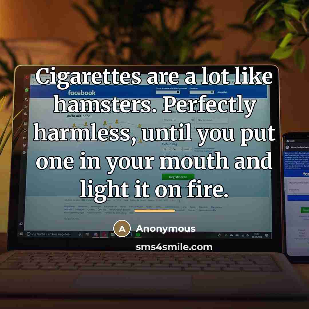 “Cigarettes are a lot like hamsters. Perfectly harmless, until you…” quote by Anonymous